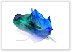 Blue Lip Ship�@�W